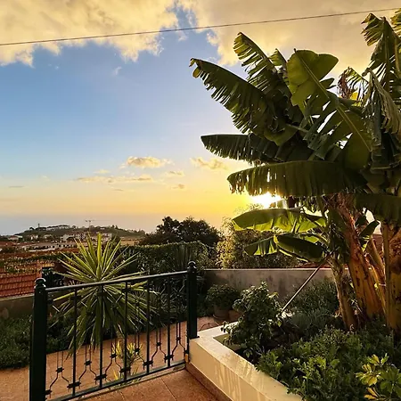 Treibholz Funchal