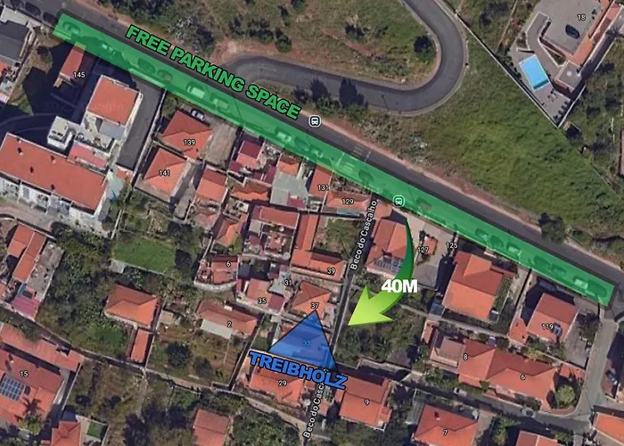 Treibholz * Funchal