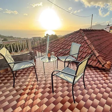 Treibholz * フンシャル