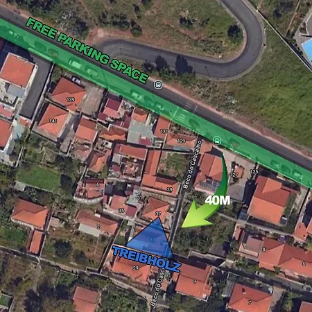 Treibholz * Funchal (Madeira)
