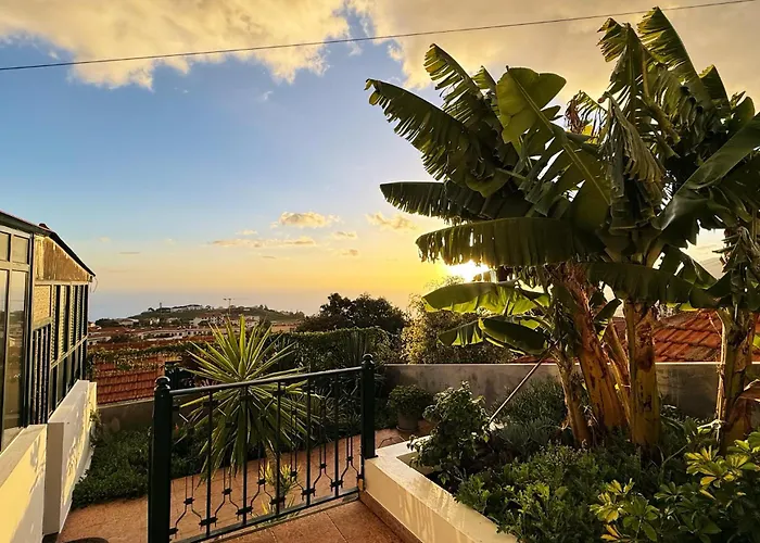 Treibholz Funchal (Madeira)